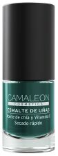 Esmalte de U&ntilde;as 6 ml