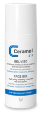Gel Facial 50 ml Gel Facial 50 ml