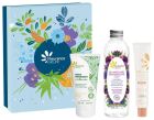 Cofre Ritual de Belleza Facial 3 Piezas Cofre Ritual de Belleza Facial 3 Piezas