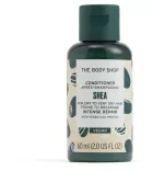 Shea Acondicionador 60 ml
